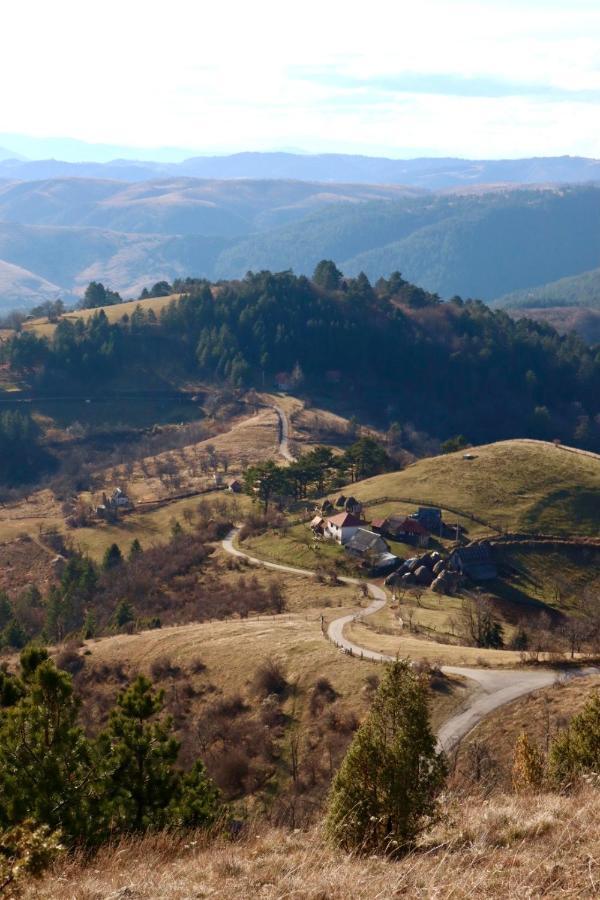 Appartamento Vila Zorica Vodice Zlatibor Esterno foto