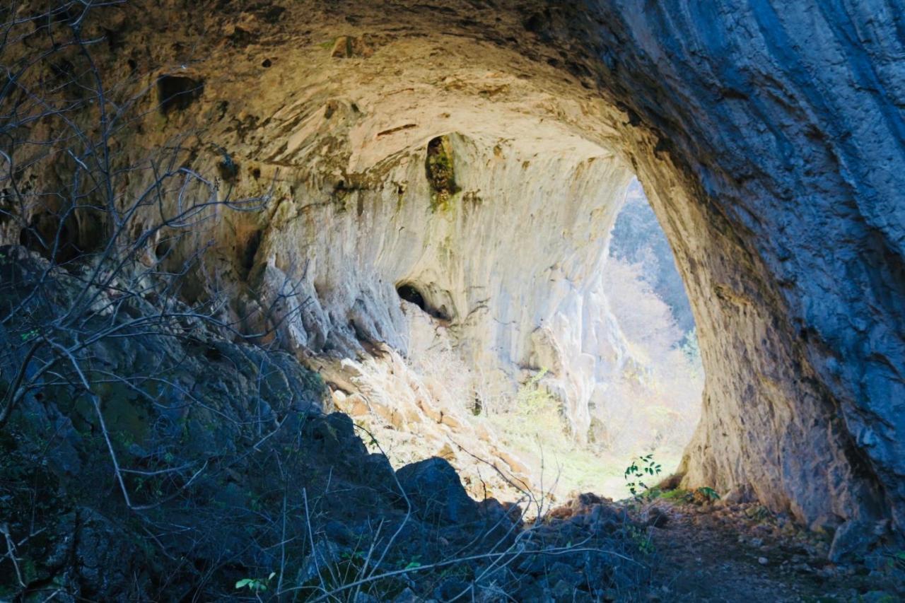 Appartamento Vila Zorica Vodice Zlatibor Esterno foto