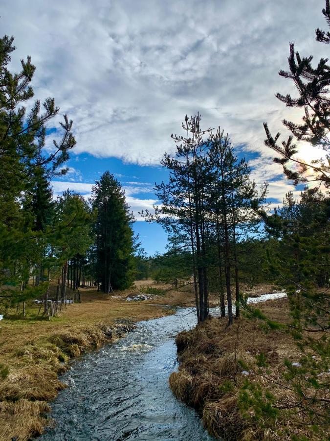 Appartamento Vila Zorica Vodice Zlatibor Esterno foto