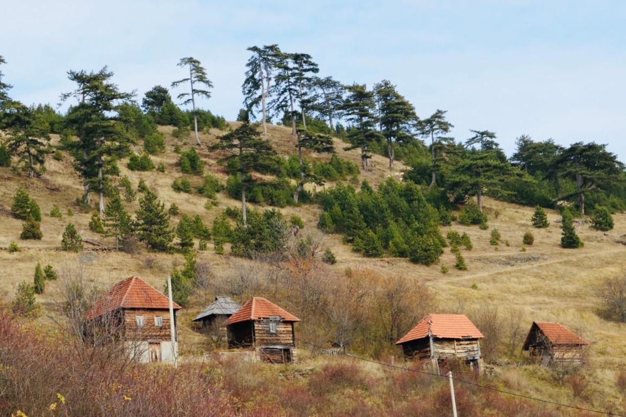 Appartamento Vila Zorica Vodice Zlatibor Esterno foto