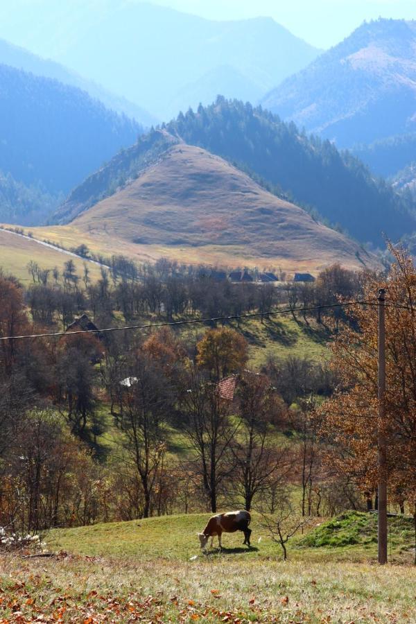 Appartamento Vila Zorica Vodice Zlatibor Esterno foto