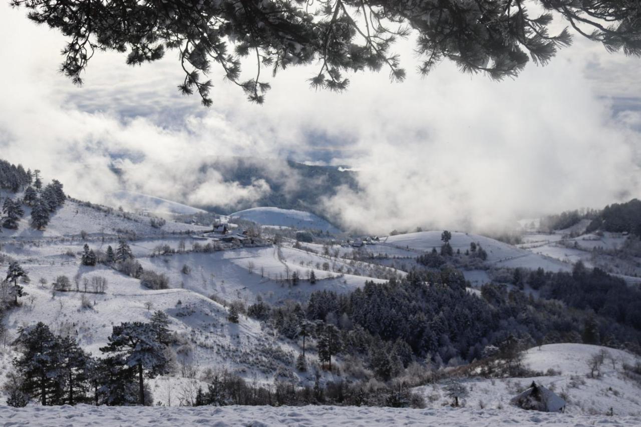 Appartamento Vila Zorica Vodice Zlatibor Esterno foto