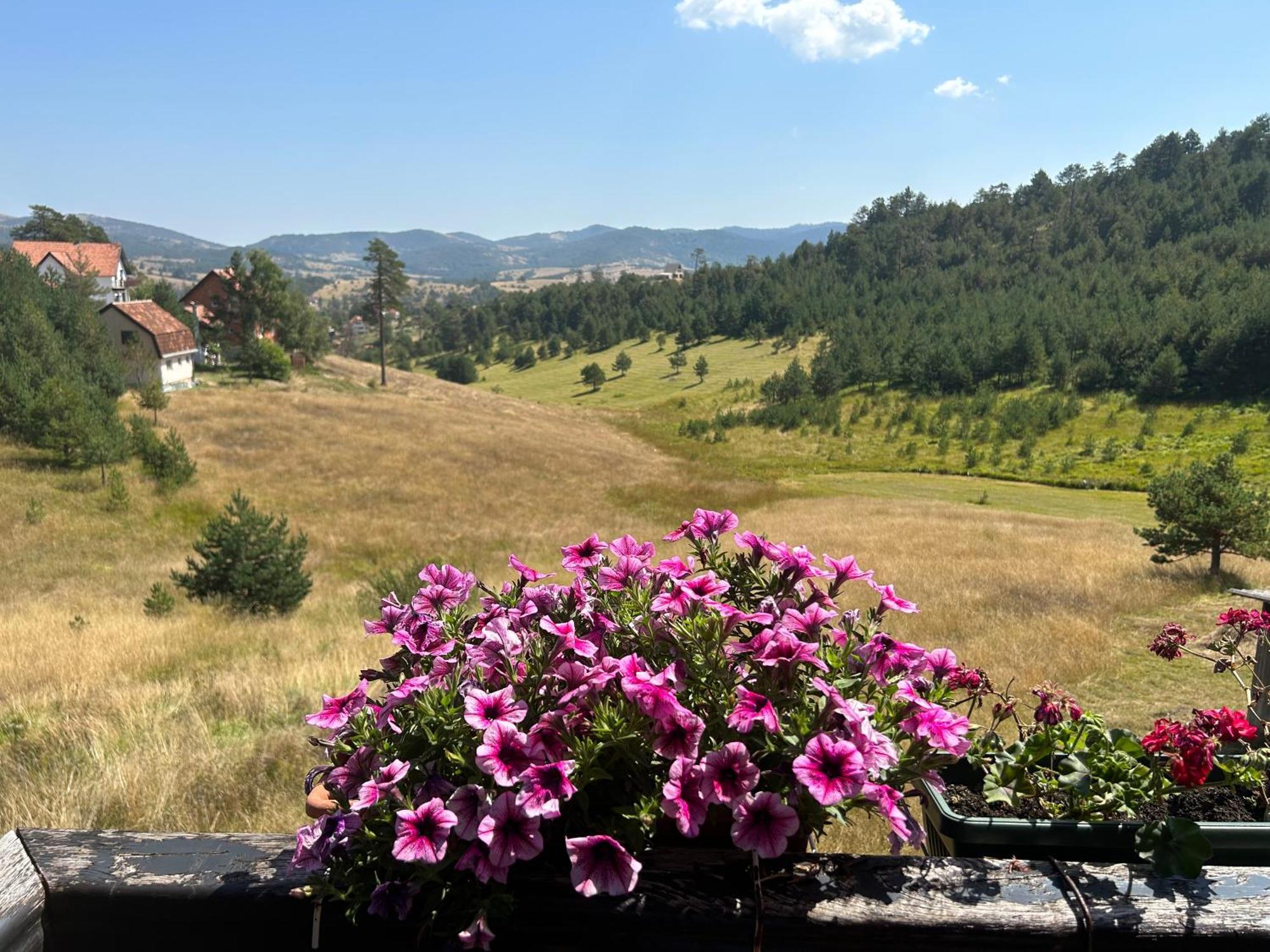 Appartamento Vila Zorica Vodice Zlatibor Esterno foto